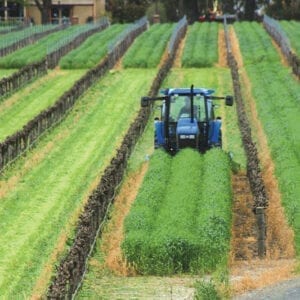 Front/Rear Mount VHD 3PL Twin Rotor Orchard Mowers