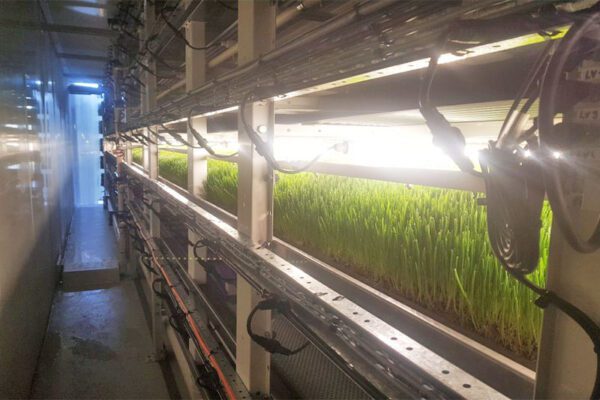 XF FODDER SYSTEMS - Image 4